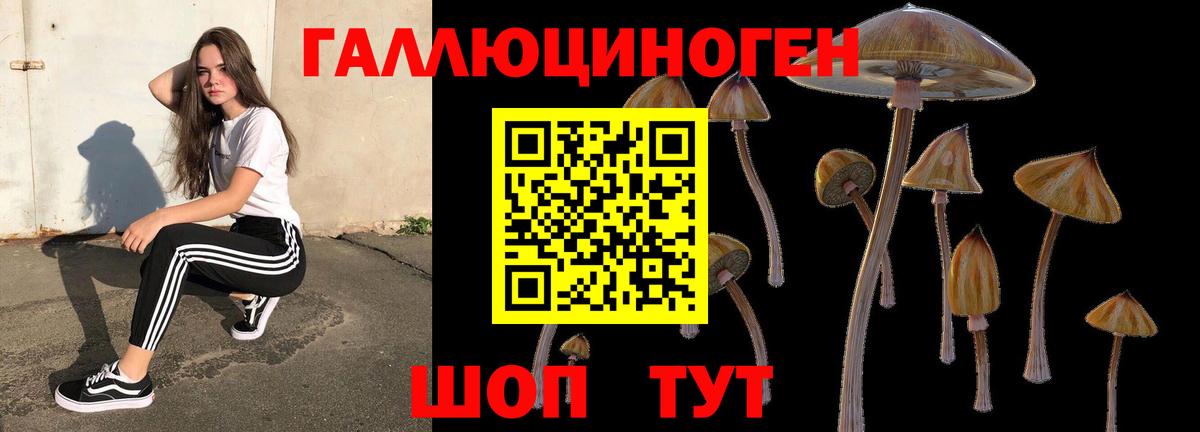 Псилоцибиновые грибы MAGIC MUSHROOMS  Псилоцибиновые грибы мицелий  Подольск  где купить наркоту  Вход с VPN 